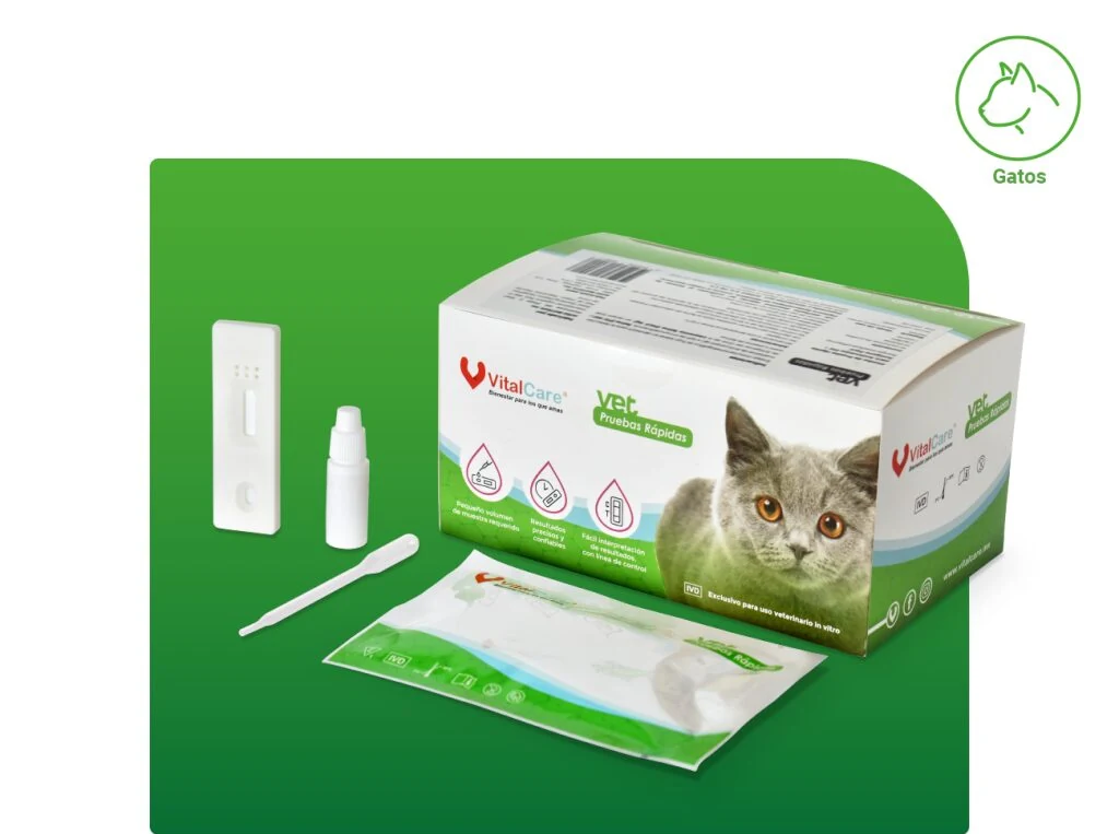 Pruebas rápidas felinas