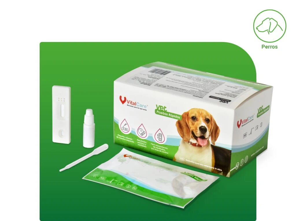 Pruebas rápidas caninas