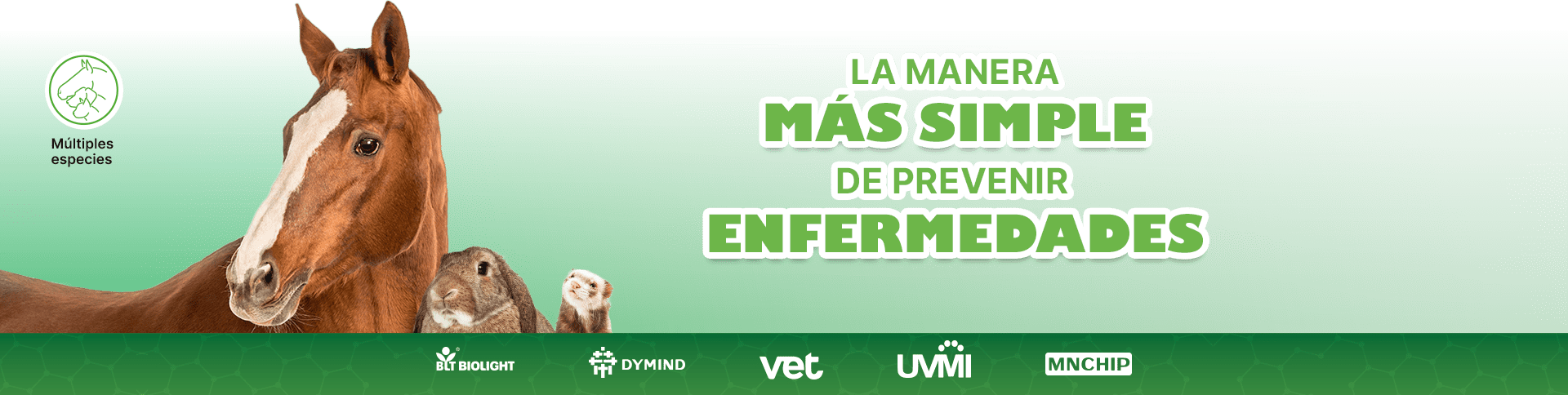 La manera más simple de prevenir enfermedades