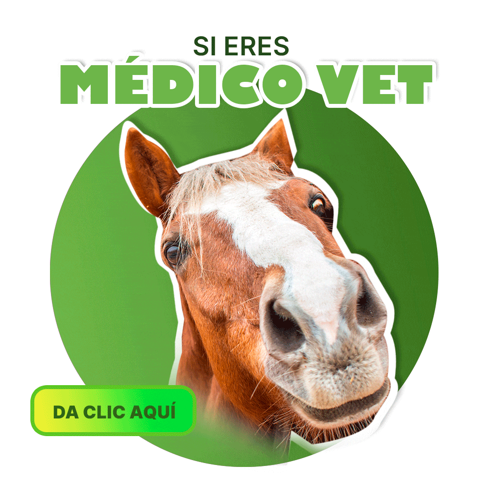 Productos médicos para médicos veterinarios